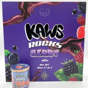 KAWS Rocks Berry Moonrocks